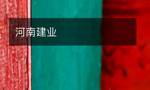 河南建業(yè)