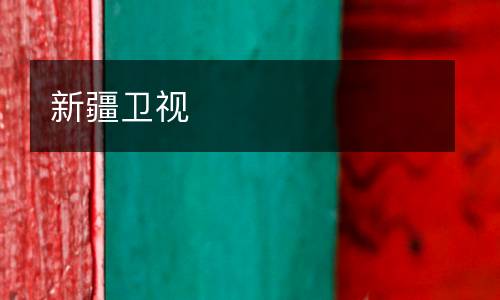 新疆衛(wèi)視