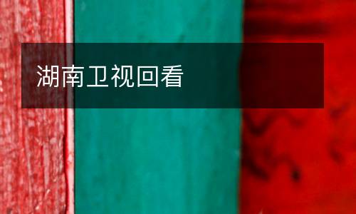 湖南衛(wèi)視回看