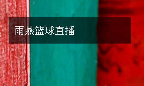 雨燕籃球直播