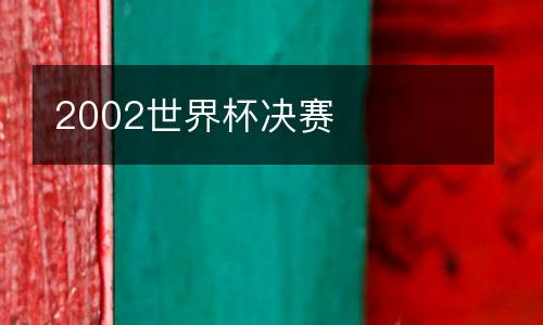 2002世界杯決賽