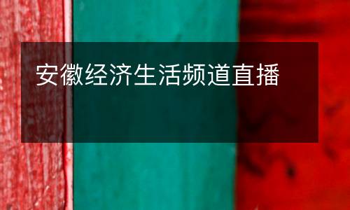 安徽經(jīng)濟(jì)生活頻道直播