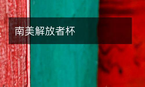 南美解放者杯